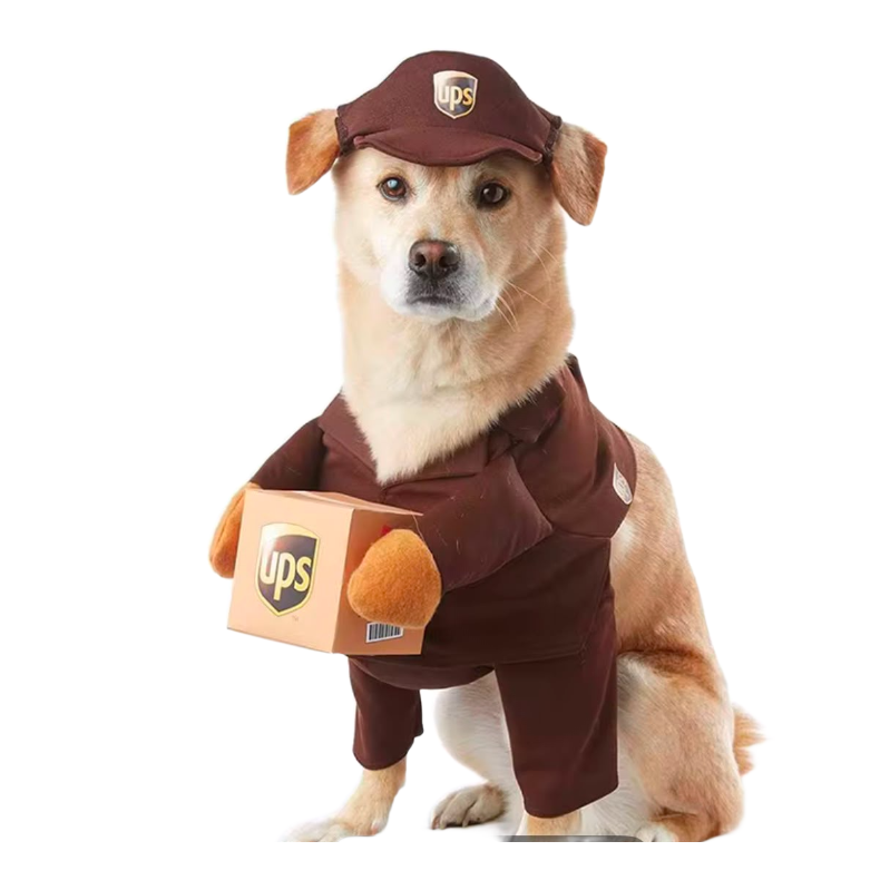 Delivery Pup Suit brown - dog delivery driver costume with parcel